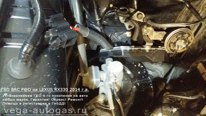 подкапотная компоновка, установка ГБО BRC Sequent Plug&Drive на Лексус РХ330 2004 г.в., пробег 96 246 км., 3,0 л., 250 л.с., ВЗУ в лючке бензобака, а 74-литровый тороидальный баллон сзади, под кузовом, Нижний Новгород, Дзержинск